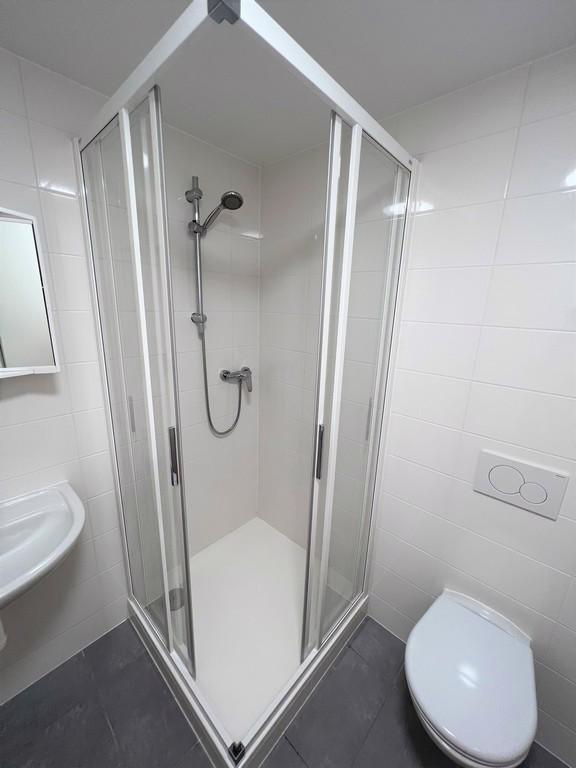 PRONÁJEM NEBYTOVÉHO PROSTORU, BRNO-MALOMĚŘICE  - foto 9