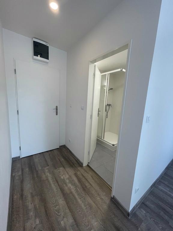 PRONÁJEM NEBYTOVÉHO PROSTORU, BRNO-MALOMĚŘICE  - foto 6