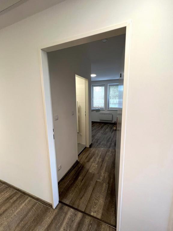 PRONÁJEM NEBYTOVÉHO PROSTORU, BRNO-MALOMĚŘICE  - foto 14