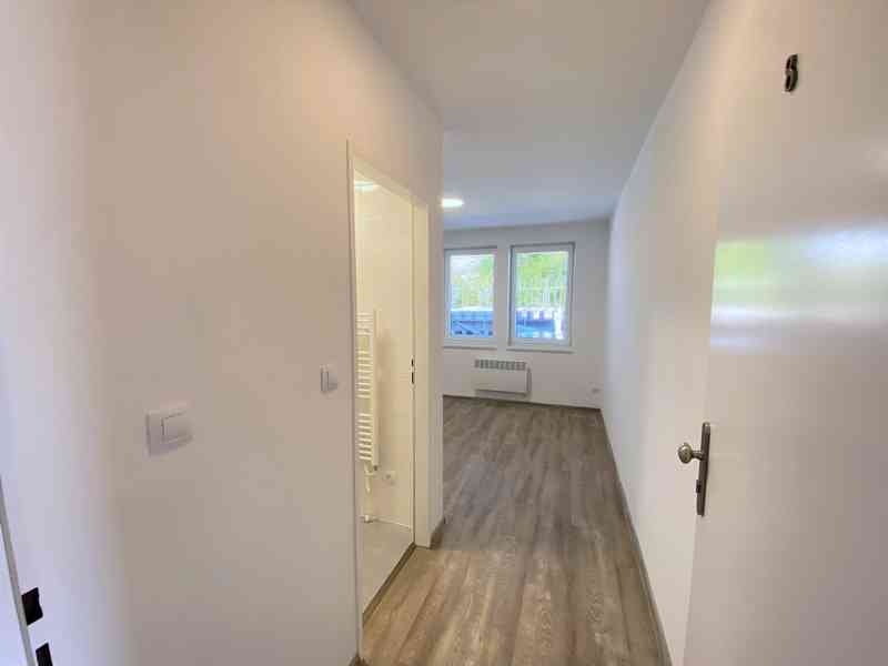 PRONÁJEM NEBYTOVÉHO PROSTORU, BRNO-MALOMĚŘICE  - foto 13