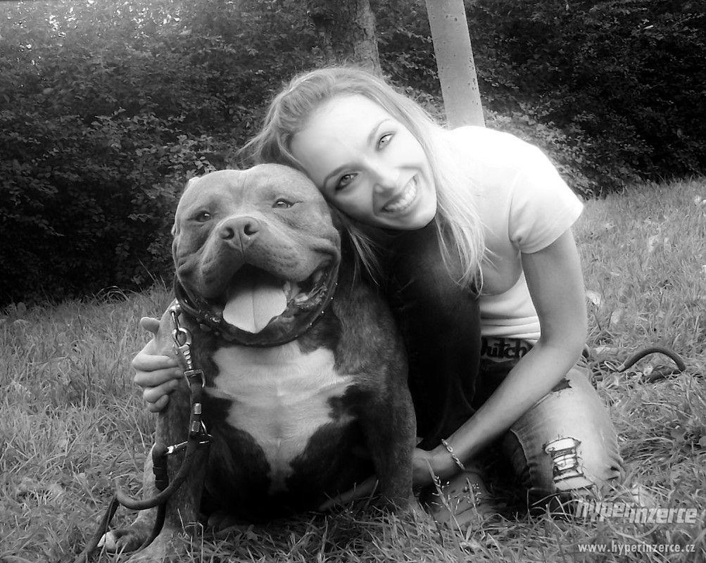 AMERICAN BULLY - foto 1