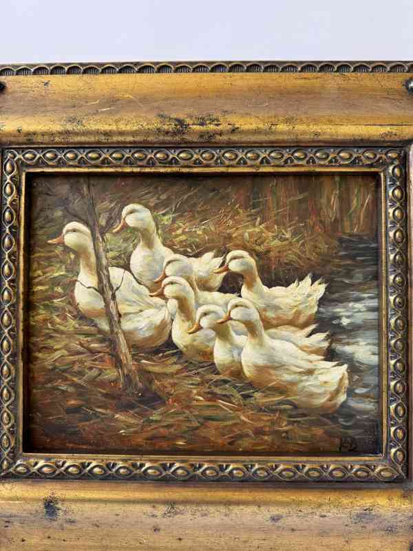 Bílé kachny - obraz ve zlatém zdobeném rámu - foto 2
