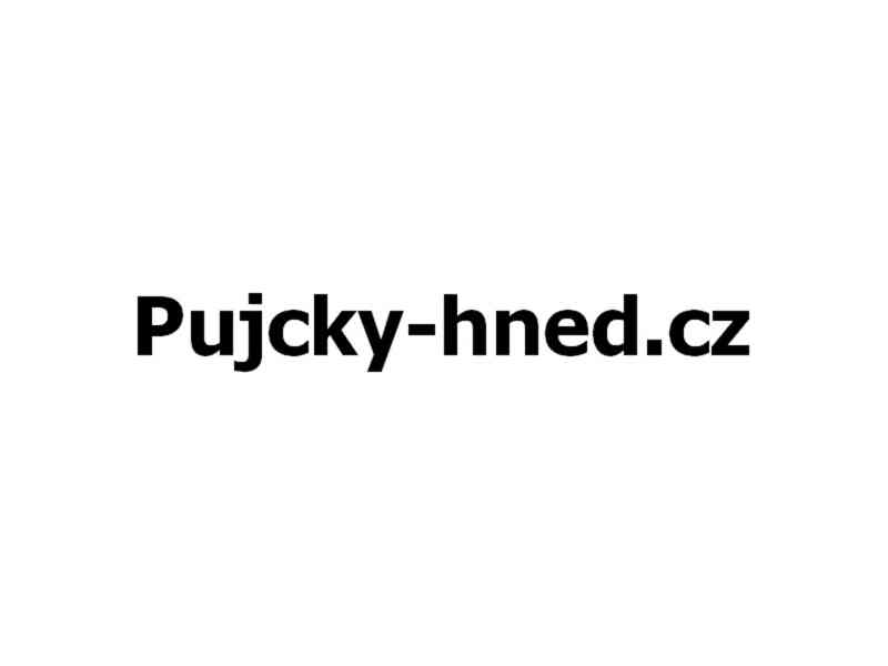 Pujcky-hned.cz  / doména na prodej - foto 1