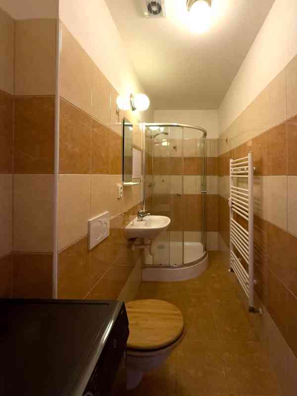Pronájem bytu 1+kk, 31 m2, Benešov u Prahy - foto 8