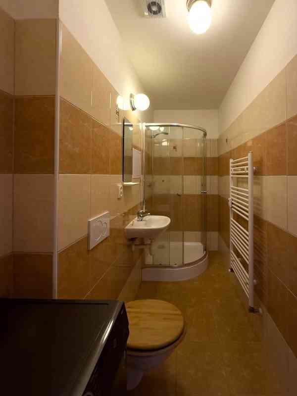 Pronájem bytu 1+kk, 31 m2, Benešov u Prahy - foto 10