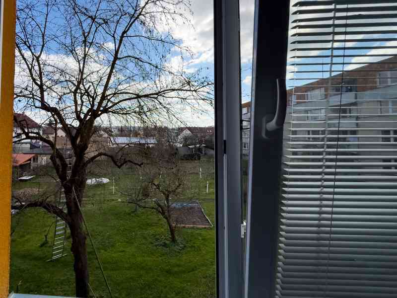 Pronájem bytu 1+kk, 31 m2, Benešov u Prahy - foto 5