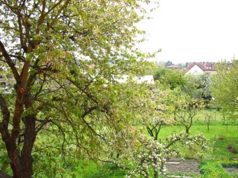 Pronájem bytu 1+kk, 31 m2, Benešov u Prahy - foto 4