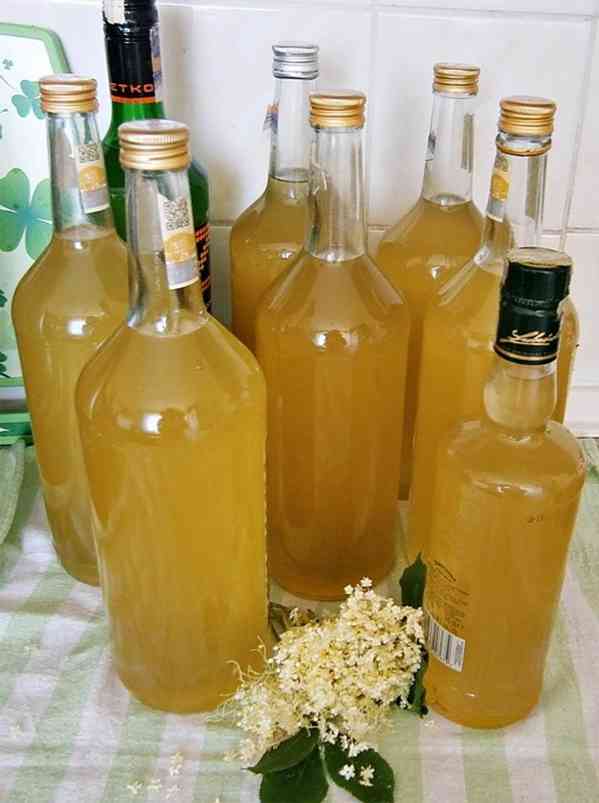 DOMÁCÍ BEZOVÝ SIRUP - foto 5