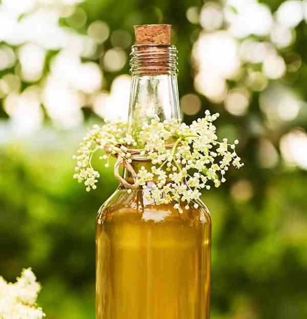 DOMÁCÍ BEZOVÝ SIRUP - foto 4
