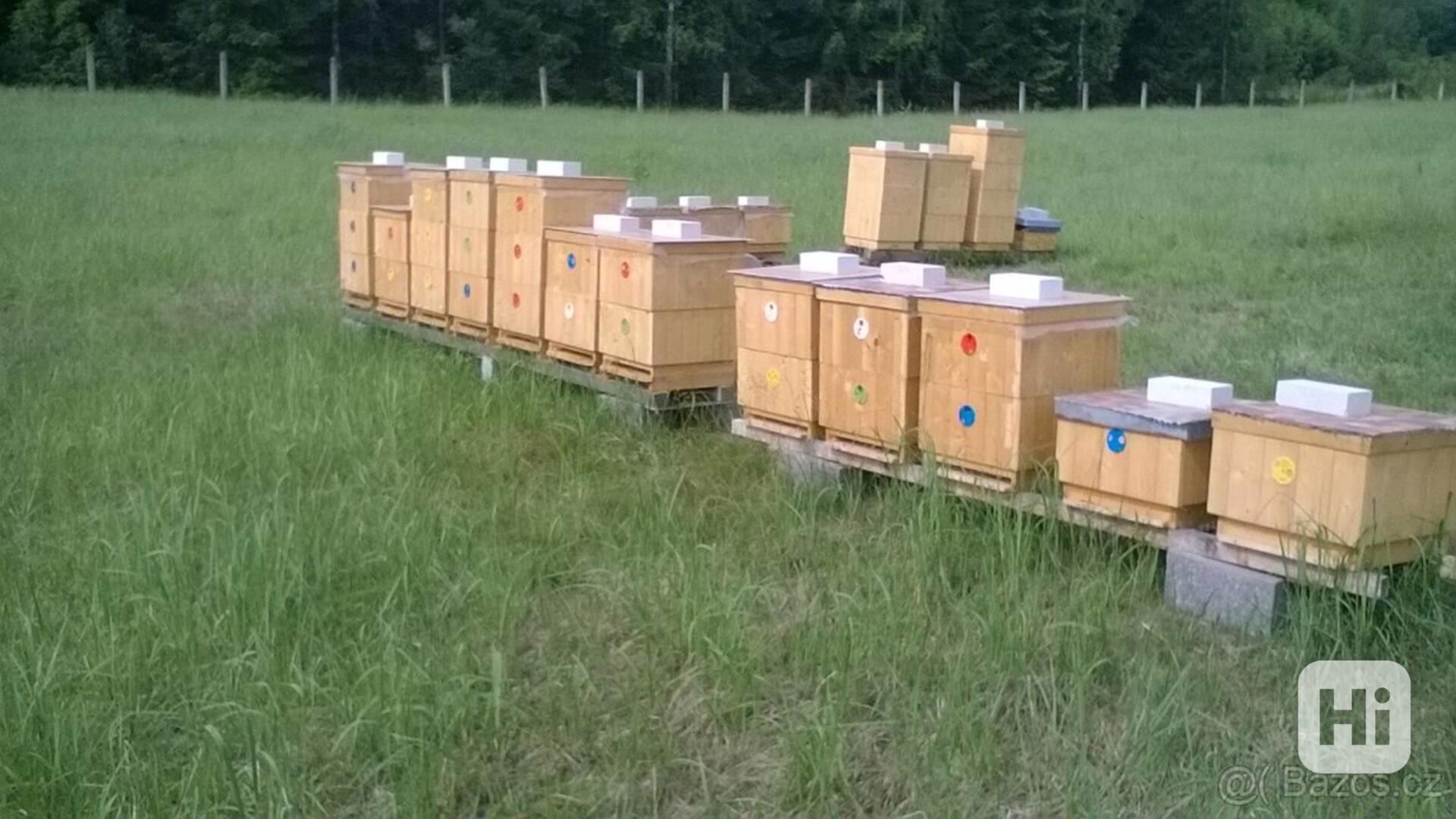 včelí oddělky - foto 1