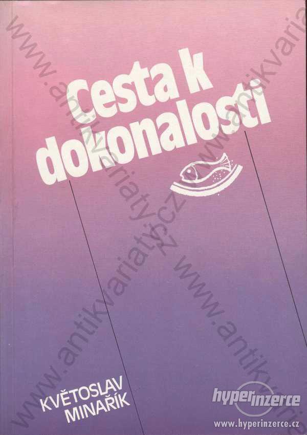 Cesta k dokonalosti Květoslav Minařík 1991 - foto 1