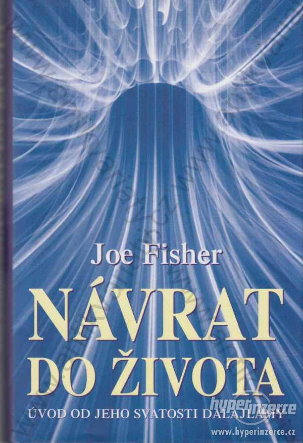 Návrat do života Joe Fisher 2004 - foto 1