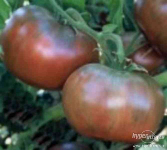 Rajče Cheroke Purple - semena - foto 1