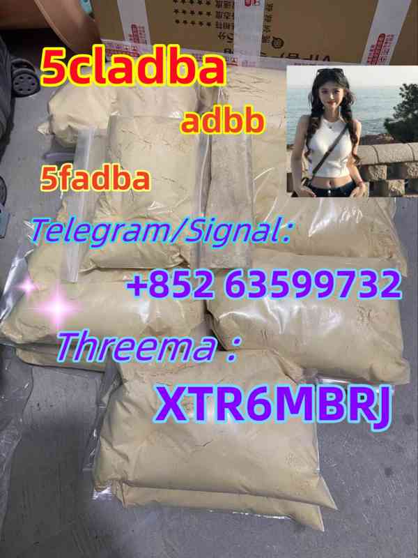 High quality 1119-51-3 5-Bromo-1-pentene with good price - foto 2