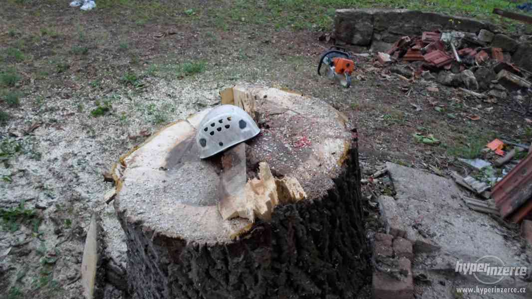 Kácení stromů Břeclav , Rizikové kácení Břeclav - foto 6
