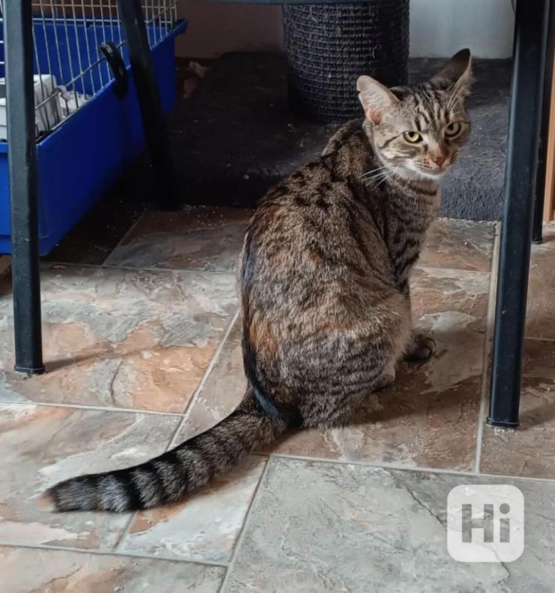 Beruška a Vzteklinka jsou dvě 1roční sestřičky - foto 1