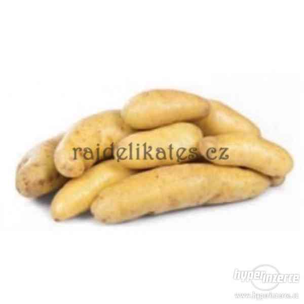 Konzumní brambory Keřkovské rohlíčky - foto 1