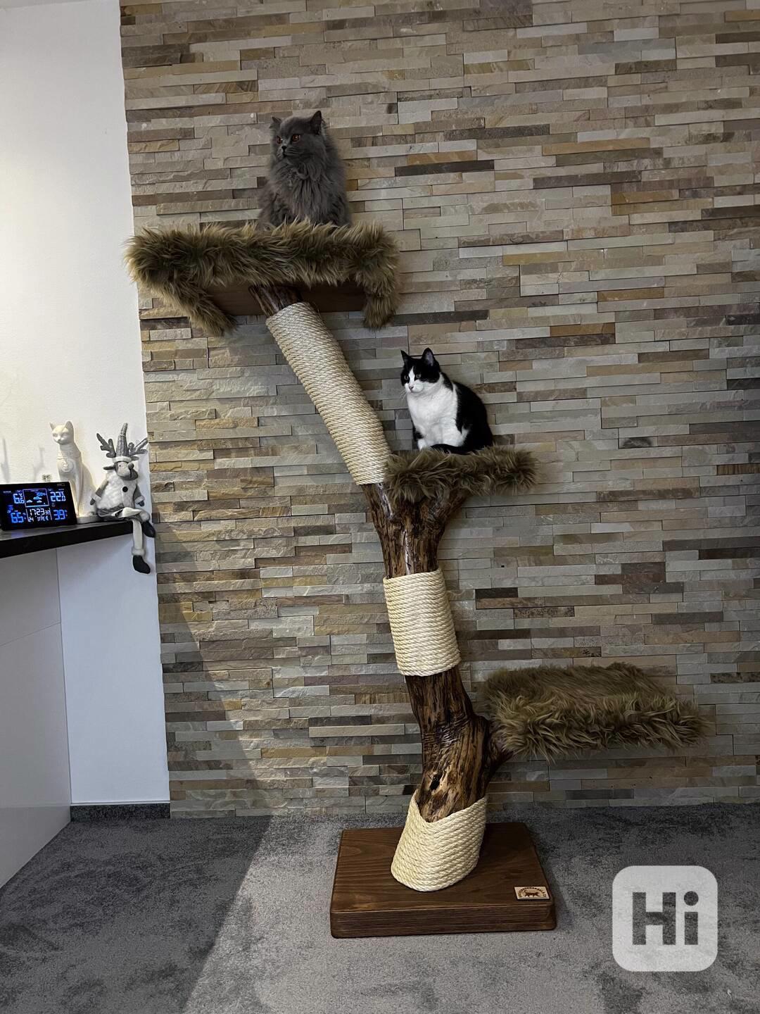 Kočičí stromy  - foto 1