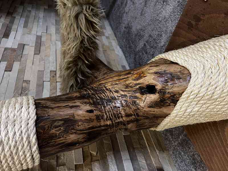 Kočičí stromy  - foto 3