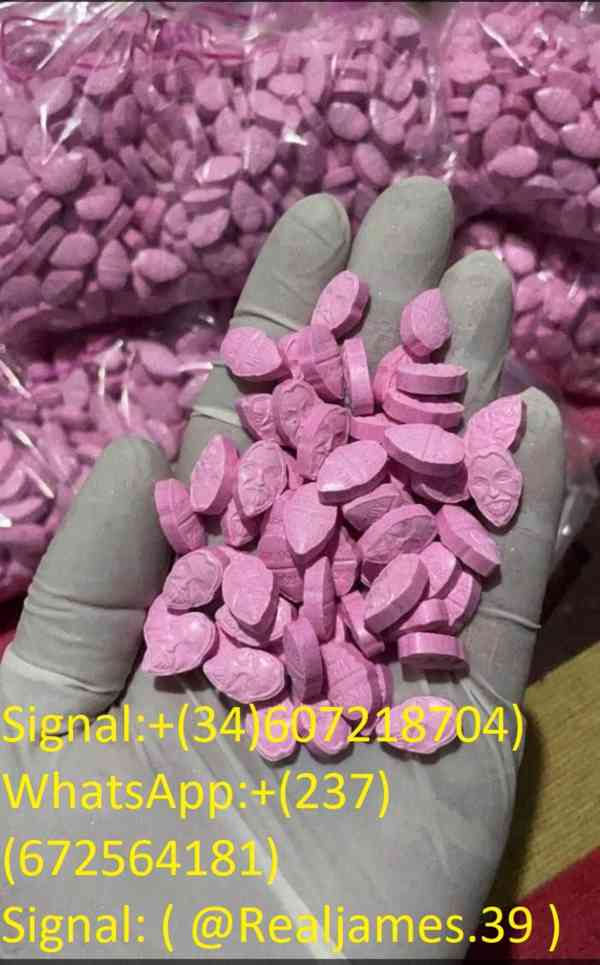 BUY OXY POWDER,EUTYLONE,APVP,MDPV,ALPRAZOLAM,ETIZOLAM, USA - foto 3