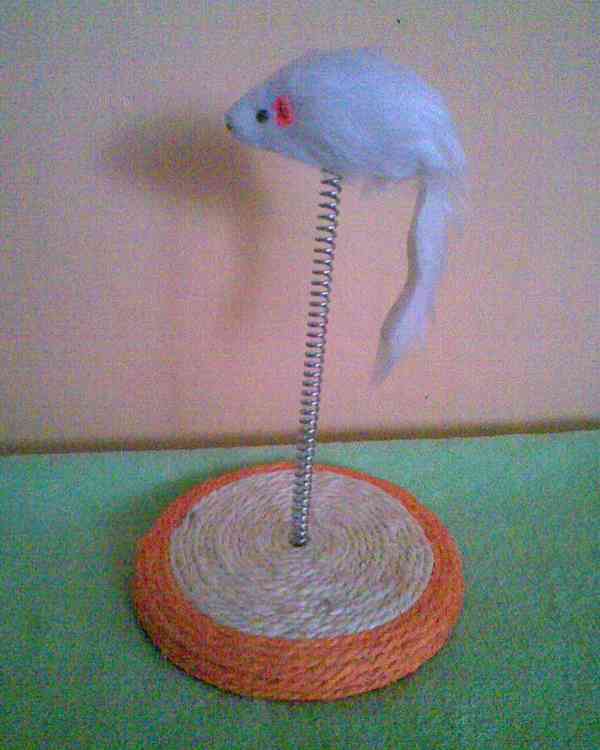 Nové hračky pro kočičku - foto 3