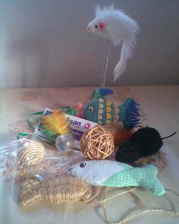 Nové hračky pro kočičku - foto 4
