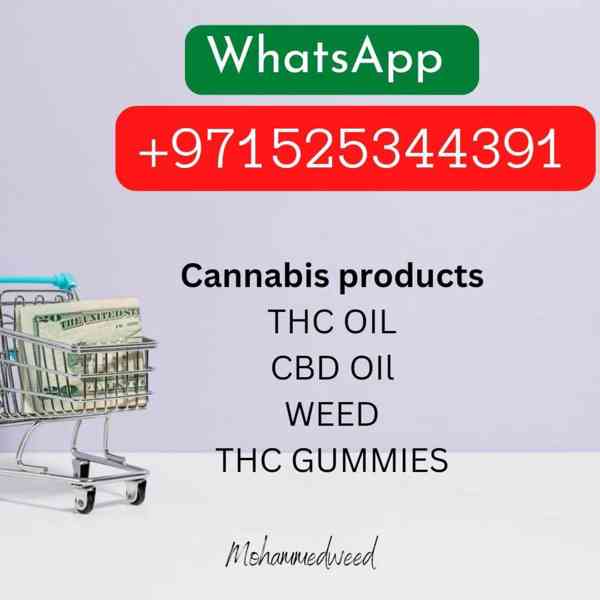 buy thc oil and cbd oil in dubai online  +971,525,344,391 - foto 2