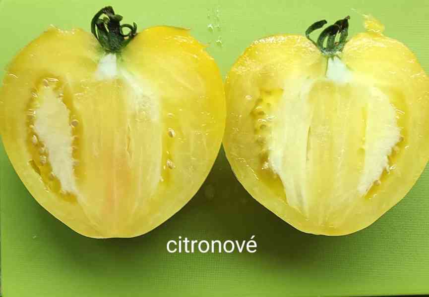 semínka rajčat - foto 2