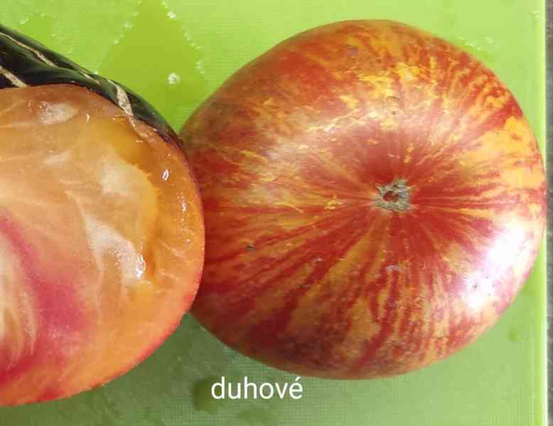 semínka rajčat - foto 8