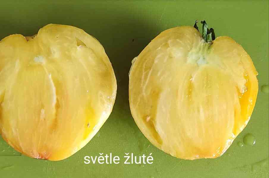 semínka rajčat - foto 10