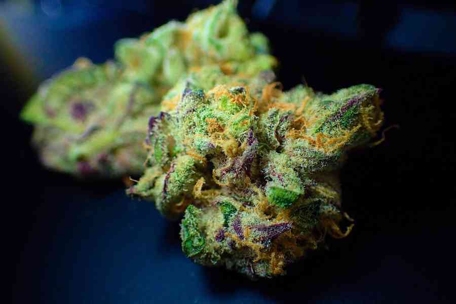 Whatapp +1 4233302391 Where to buy marijuana online Austria - foto 1