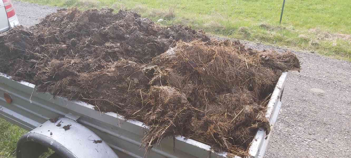 KOŇSKÝ HNŮJ  - foto 3