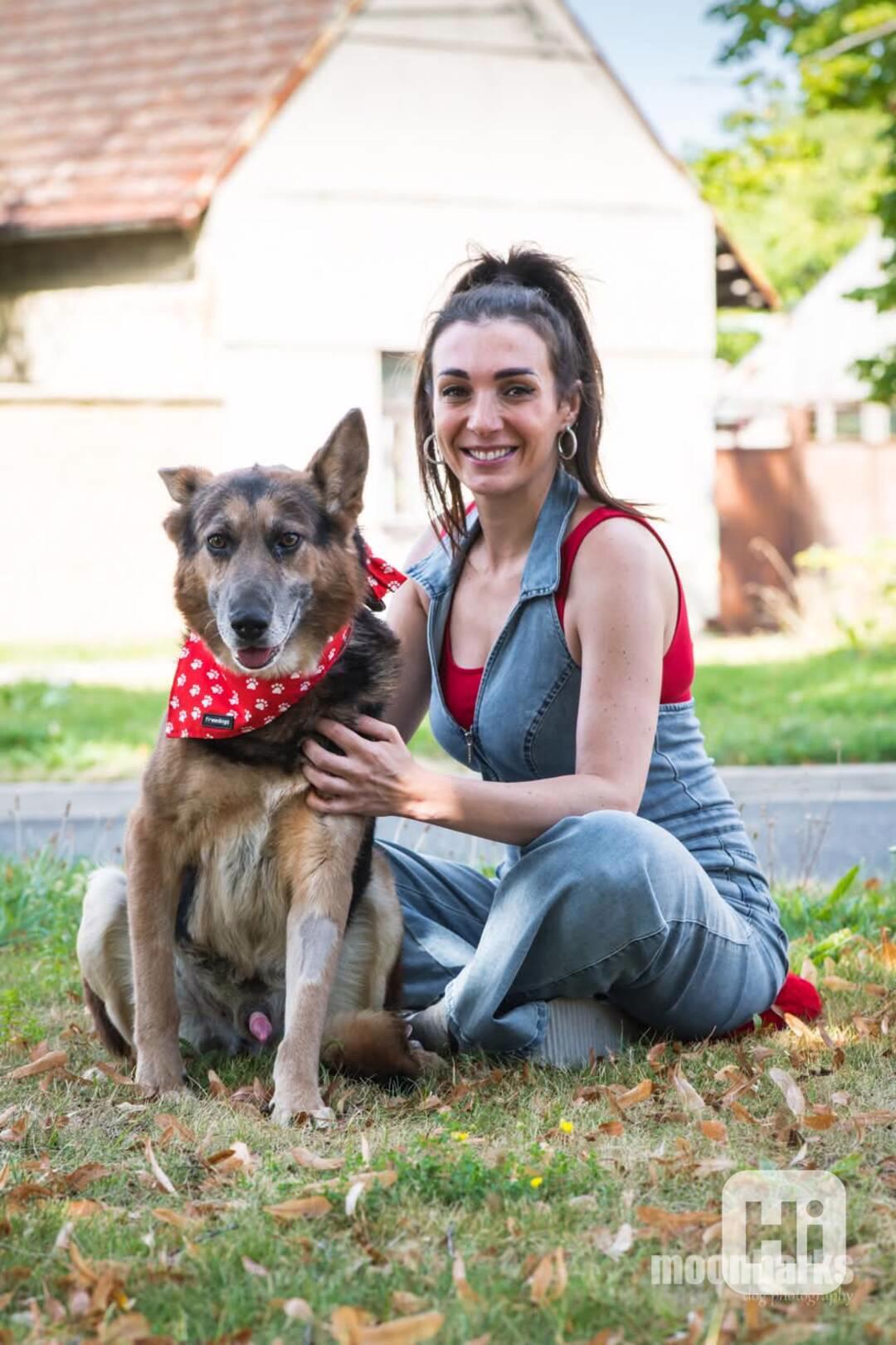 DÁJA - 29 kg, kastrovaný psík 9 let  - foto 1