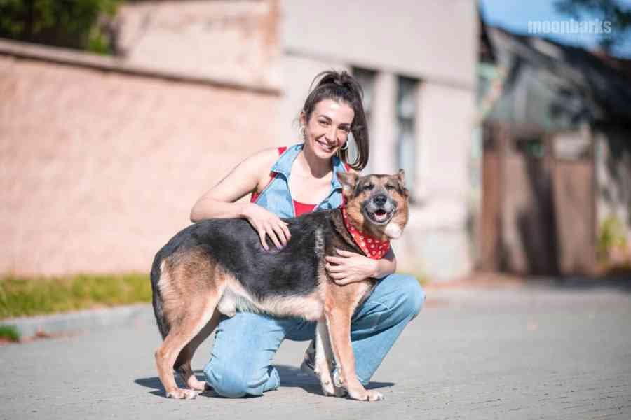 DÁJA - 29 kg, kastrovaný psík 9 let  - foto 4