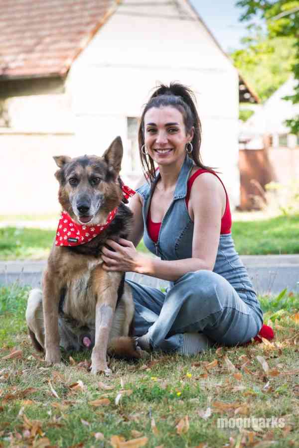 DÁJA - 29 kg, kastrovaný psík 9 let  - foto 1
