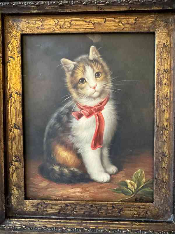 Tříbarevná kočka - obraz ve zlatém zdobeném rámu - foto 2