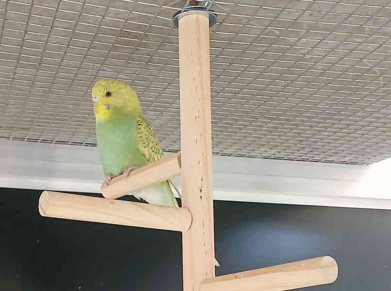 andulky - foto 4