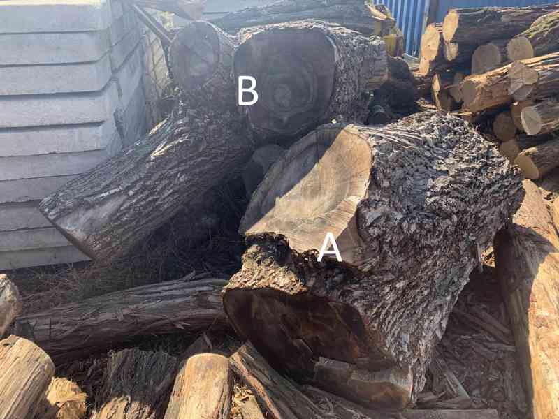 Přesílená kulatina ořech - foto 3