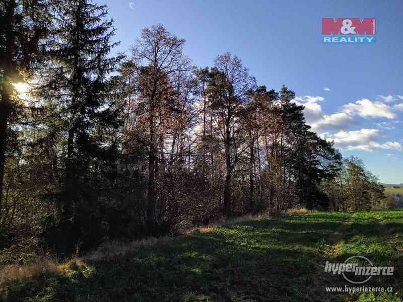 Prodej lesa, 2088 m?, Svatoslav - foto 1