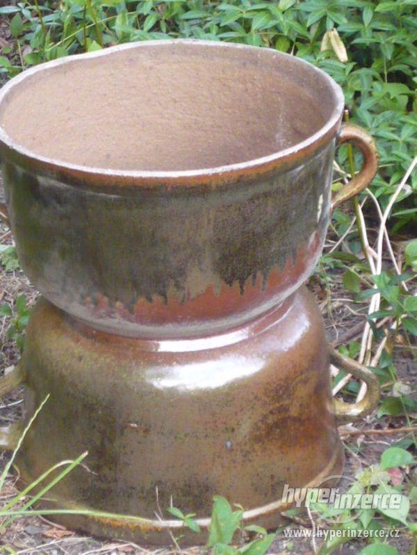 pokojové rostliny - foto 5