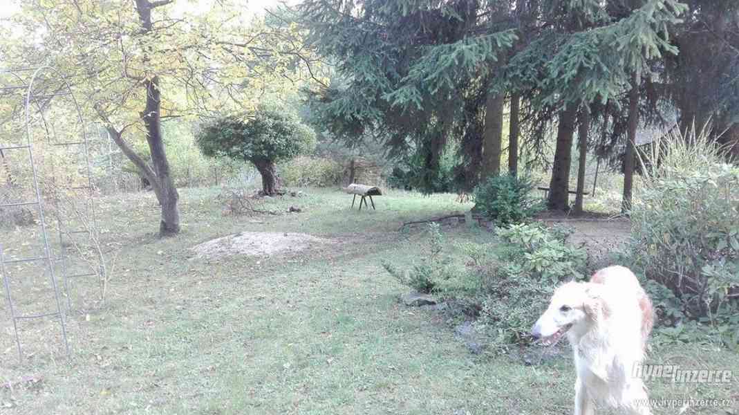 Chata s pozemkem Soběšice-REZERVOVANO do 8.10.17 nevolat dík - foto 2