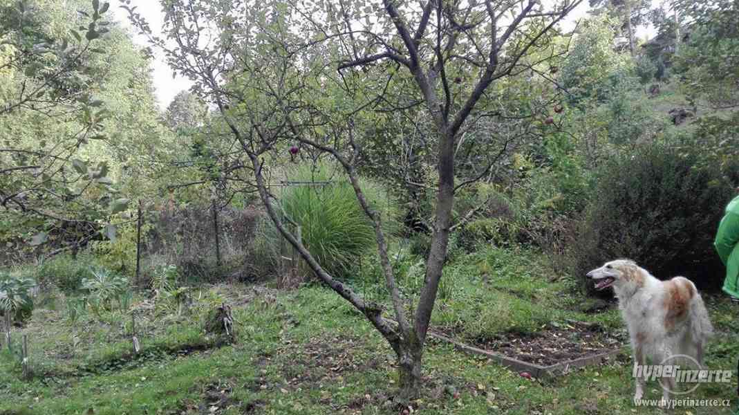 Chata s pozemkem Soběšice-REZERVOVANO do 8.10.17 nevolat dík - foto 6