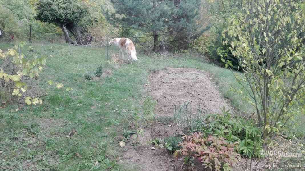 Chata s pozemkem Soběšice-REZERVOVANO do 8.10.17 nevolat dík - foto 9