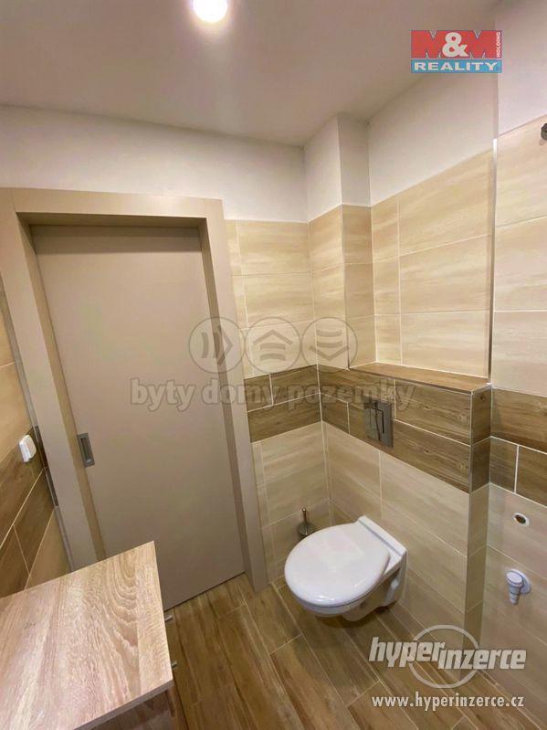 Pronájem rodinného domu, Havraň - foto 10