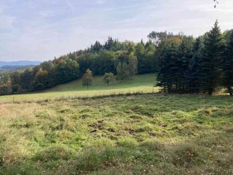 Prodej stavebního pozemku Bělá u Děčína. - foto 2