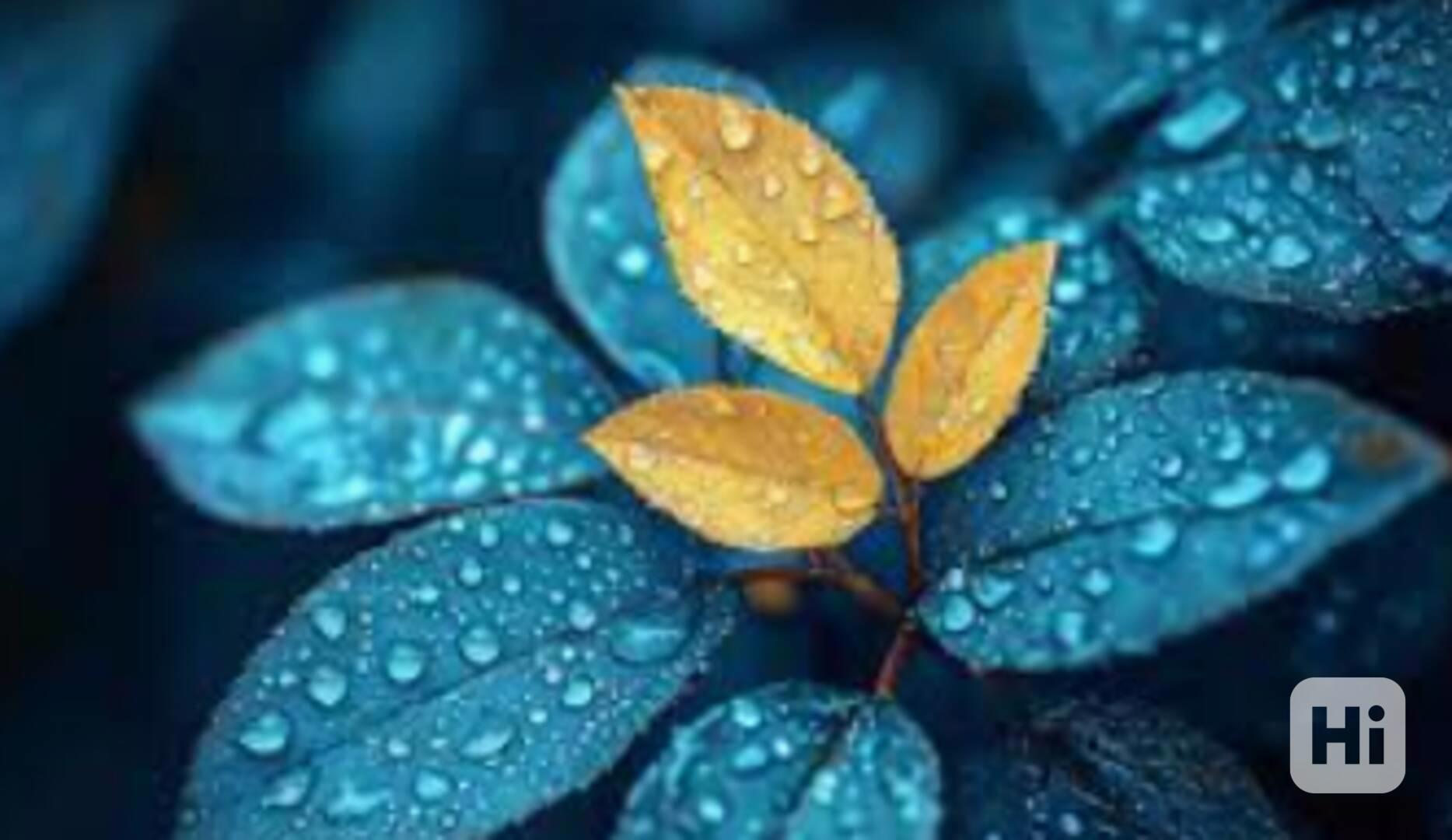 zdfcdsfvdxvd - foto 1