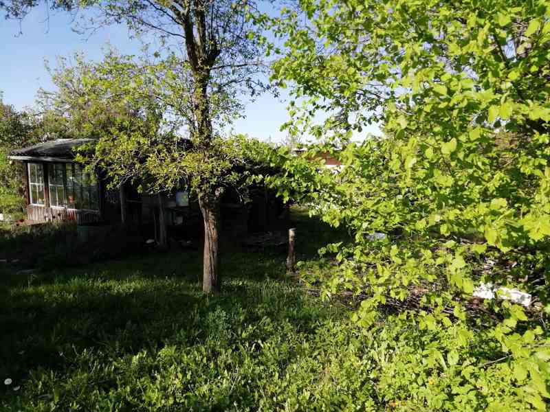 Prodej zahrady s chatkou v Brně - Králově Poli. - foto 2