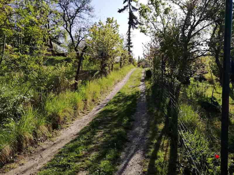 Prodej zahrady s chatkou v Brně - Králově Poli. - foto 10