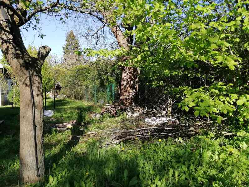 Prodej zahrady s chatkou v Brně - Králově Poli. - foto 4