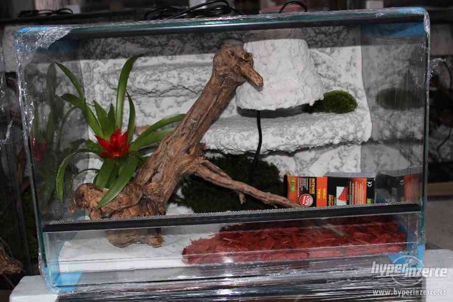 Terárium  vybavené pro chameleony,felsumy,agamy a jiné - foto 8